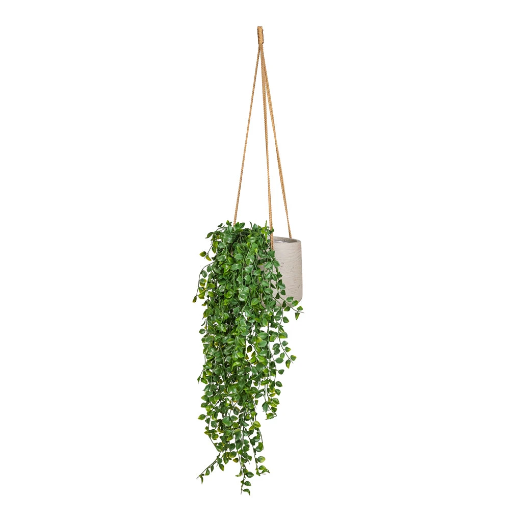 Patt Grey Washed Fibreclay Hanging Plant Pot β Rugged Tapered Indoor & Outdoor Planter 9 Patt Grey Washed Fibreclay Hanging Plant Pot β Rugged Tapered Indoor & Outdoor Planter - Image 9