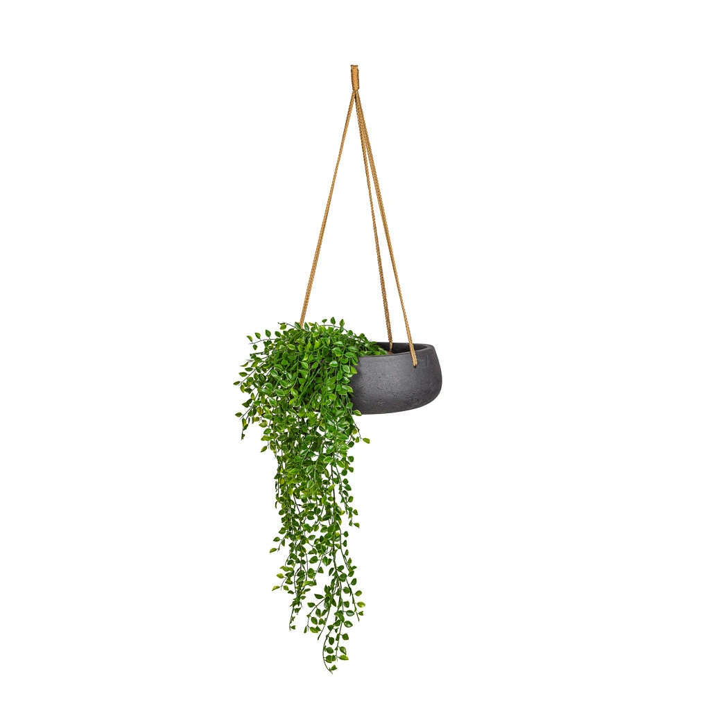 Eileen Hanging Plant Bowl - Black Washed 3 Eileen Hanging Plant Bowl - Black Washed - Image 3