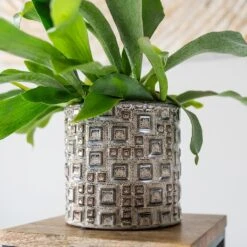 Fiene Plant Pot - Grey -HORTOLOGY Plants Sale Fiene Grey 2