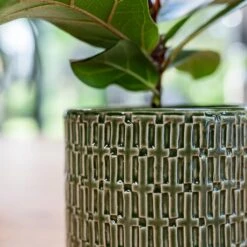 Flor Plant Pot - Green -HORTOLOGY Plants Sale Flor Green 2 1