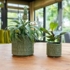 Flor Plant Pot - Green -HORTOLOGY Plants Sale Flor Green 2 2