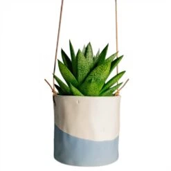 Dip Glaze Ceramic Hanging Indoor Plant Pot β Blue & White Stoneware with Leather Cord 12 Dip Glaze Ceramic Hanging Indoor Plant Pot β Blue & White Stoneware with Leather Cord -HORTOLOGY Plants Sale Gasteria D Tiga Ox Tongue Houseplant 10.5x15cm Plant Pot Dip Hanging 12x12cm ecd813db b5d2 4cfe b8c9 cdae33e739fa