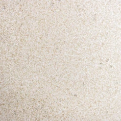 Grigio Balloon Plant Pot - Antique White Concrete -HORTOLOGY Plants Sale Grigio Antique White Concrete Swatch 2