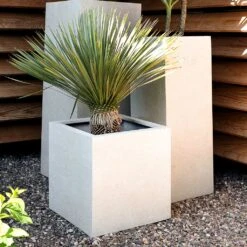 Grigio Cube Planter - Antique White Concrete 11 Grigio Cube Planter - Antique White Concrete -HORTOLOGY Plants Sale Grigio Cube High Cube Antique White