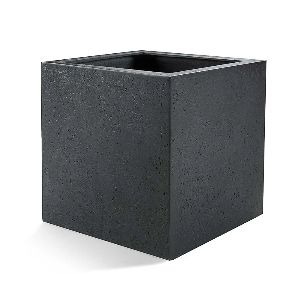 Grigio Anthracite Concrete Cube Planter β Lightweight Modern Indoor/Outdoor Resin Pot 1 Grigio Anthracite Concrete Cube Planter β Lightweight Modern Indoor/Outdoor Resin Pot