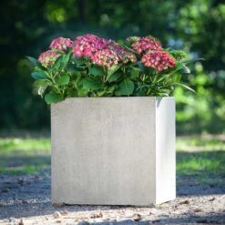 Grigio Cube Planter - Antique White Concrete 14 Grigio Cube Planter - Antique White Concrete -HORTOLOGY Plants Sale Grigio Cube Planter Antique White Concrete LS1