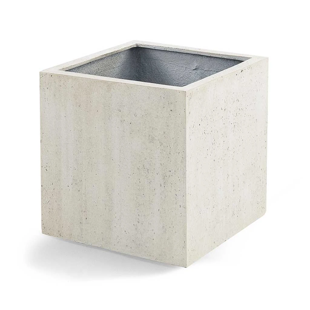 Grigio Cube Planter - Antique White Concrete 5 Grigio Cube Planter - Antique White Concrete - Image 5