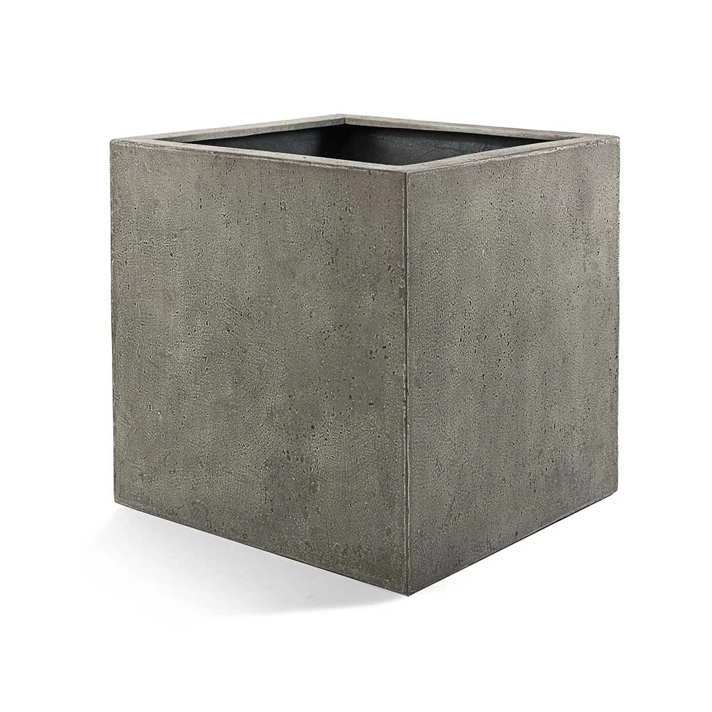 Grigio Cube Planter - Natural Concrete 1 Grigio Cube Planter - Natural Concrete
