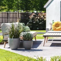 Grigio Egg Pot Planter - Natural Concrete -HORTOLOGY Plants Sale Grigio Egg Pot Natural Concrete