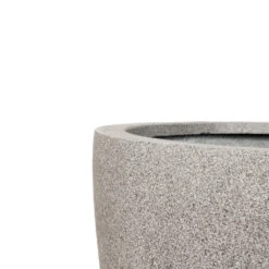 Grigio Egg Pot Planter - Natural Concrete -HORTOLOGY Plants Sale Grigio Egg Pot Planter Natural Concrete SWATCH 3