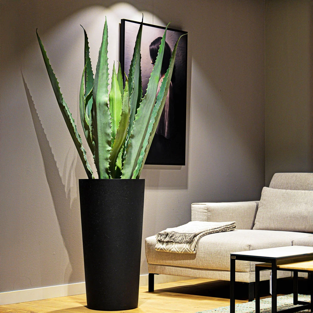Grigio Tall Partner Planter - Anthracite Concrete 2 Grigio Tall Partner Planter - Anthracite Concrete - Image 2