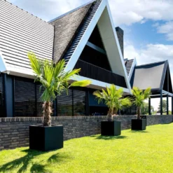 Grigio Anthracite Concrete Cube Planter β Lightweight Modern Indoor/Outdoor Resin Pot 13 Grigio Anthracite Concrete Cube Planter β Lightweight Modern Indoor/Outdoor Resin Pot -HORTOLOGY Plants Sale GrigioCubePlanter AnthraciteConcrete 1