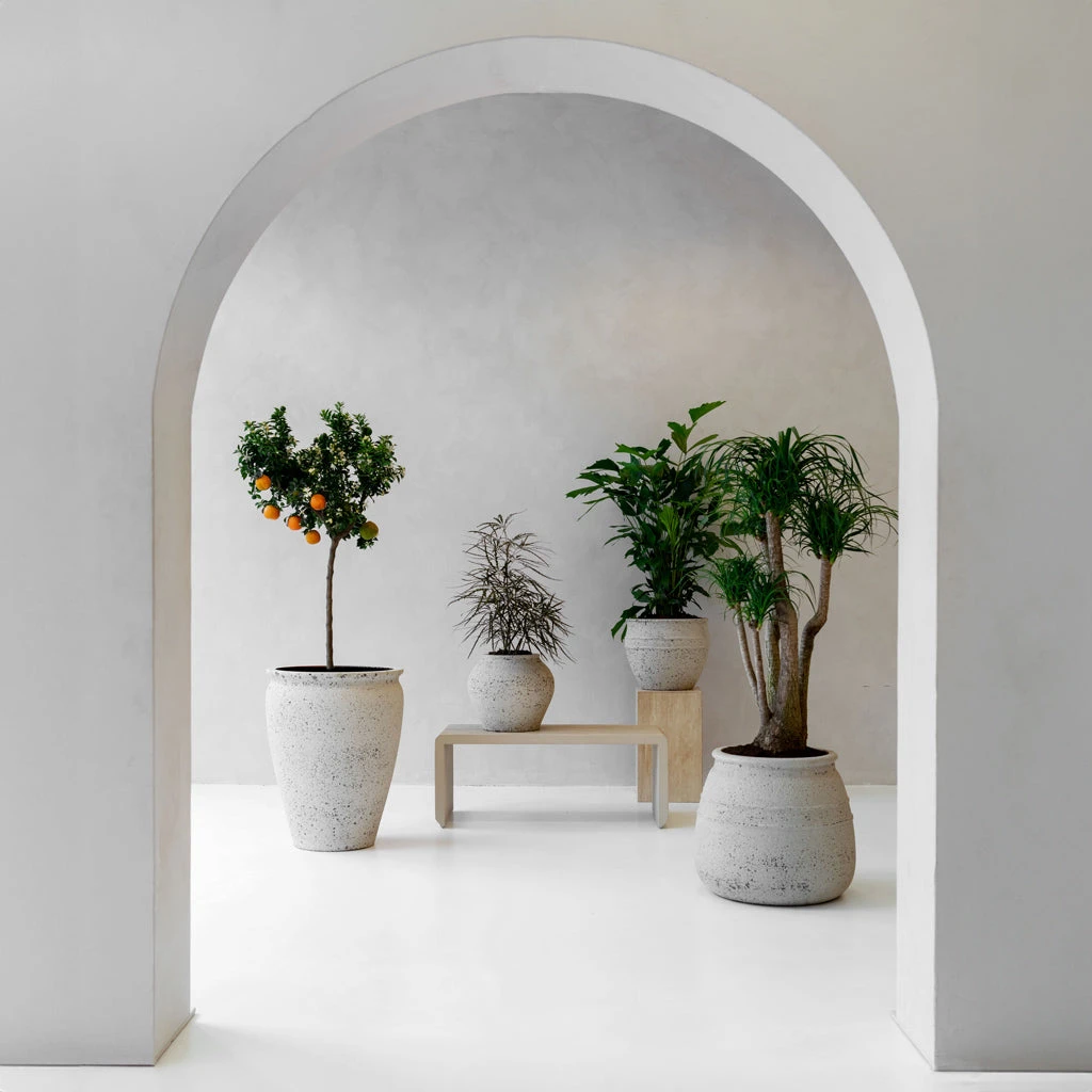 Athena Mediterranean Planter - Chalk White 9 Athena Mediterranean Planter - Chalk White - Image 9