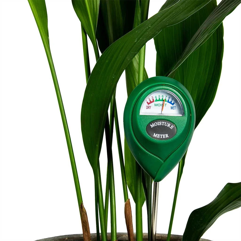Houseplant Soil Moisture Meter 2 Houseplant Soil Moisture Meter - Image 2