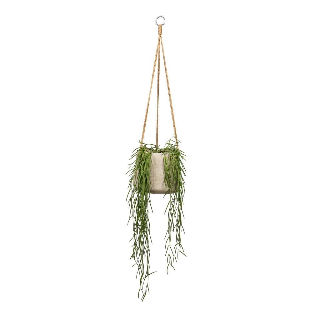 Patt Grey Washed Fibreclay Hanging Plant Pot β Rugged Tapered Indoor & Outdoor Planter 5 Patt Grey Washed Fibreclay Hanging Plant Pot β Rugged Tapered Indoor & Outdoor Planter - Image 5