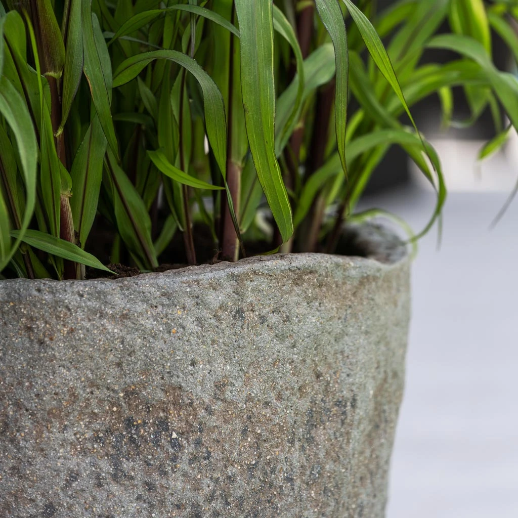 Hunter Mountain Granite Grey Trough Planter - Rugged Ficonstone Stone Effect Pot 9 Hunter Mountain Granite Grey Trough Planter - Rugged Ficonstone Stone Effect Pot - Image 9