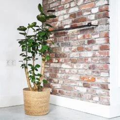 Igmar Plant Basket - Natural -HORTOLOGY Plants Sale Igmar natural Lifestyle 3