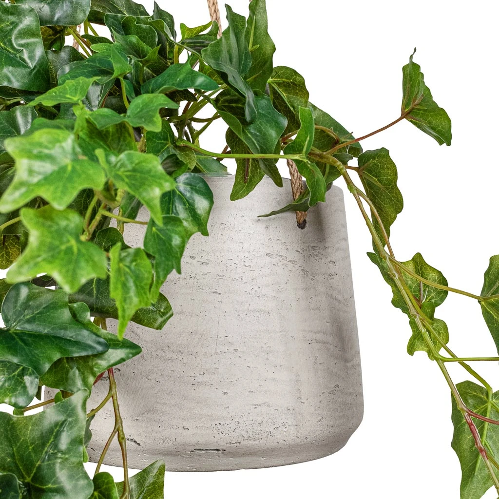 Patt Grey Washed Fibreclay Hanging Plant Pot β Rugged Tapered Indoor & Outdoor Planter 11 Patt Grey Washed Fibreclay Hanging Plant Pot β Rugged Tapered Indoor & Outdoor Planter - Image 11