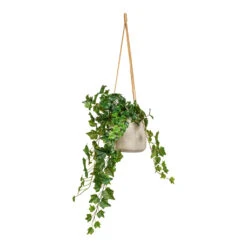 Patt Grey Washed Fibreclay Hanging Plant Pot β Rugged Tapered Indoor & Outdoor Planter 26 Patt Grey Washed Fibreclay Hanging Plant Pot β Rugged Tapered Indoor & Outdoor Planter -HORTOLOGY Plants Sale Ivy Hanging Bush Artificial 70cm Patt Hanging Pot Grey Washed 20x17cm