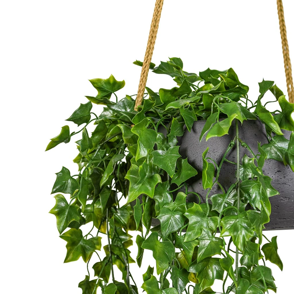 Eileen Hanging Plant Bowl - Black Washed 6 Eileen Hanging Plant Bowl - Black Washed - Image 6