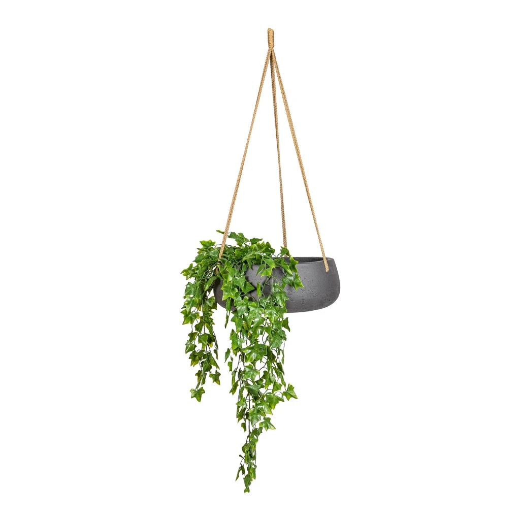 Eileen Hanging Plant Bowl - Black Washed 7 Eileen Hanging Plant Bowl - Black Washed - Image 7