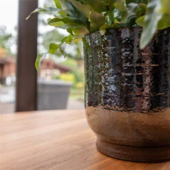 Jayla Plant Pot - Espresso 16 Jayla Plant Pot - Espresso -HORTOLOGY Plants Sale Jayla Espresso 2