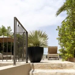 Jesslyn Natural Planter - Black 12 Jesslyn Natural Planter - Black -HORTOLOGY Plants Sale Jesslyn Natural Planter Black 1