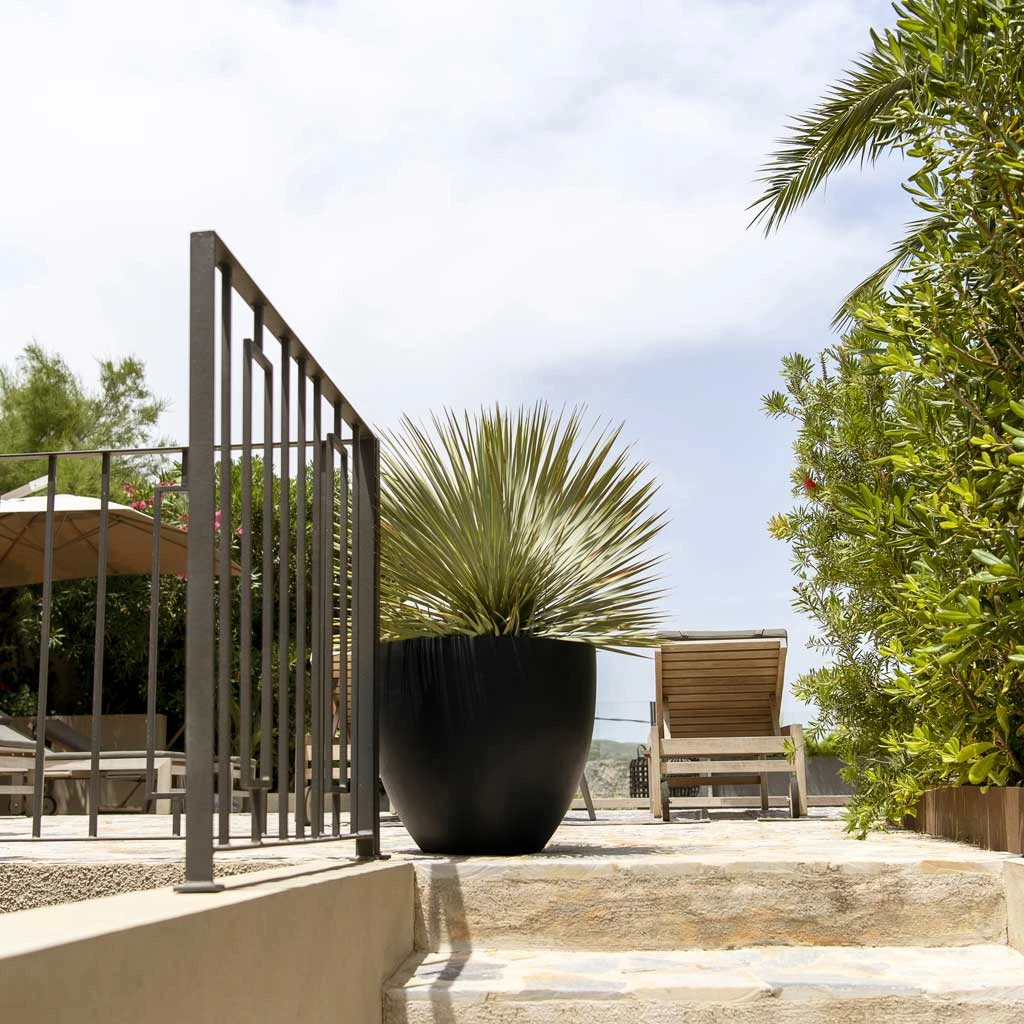 Jesslyn Natural Planter - Black 3 Jesslyn Natural Planter - Black - Image 3