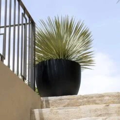 Jesslyn Natural Planter - Black 17 Jesslyn Natural Planter - Black -HORTOLOGY Plants Sale Jesslyn Natural Planter Black 2