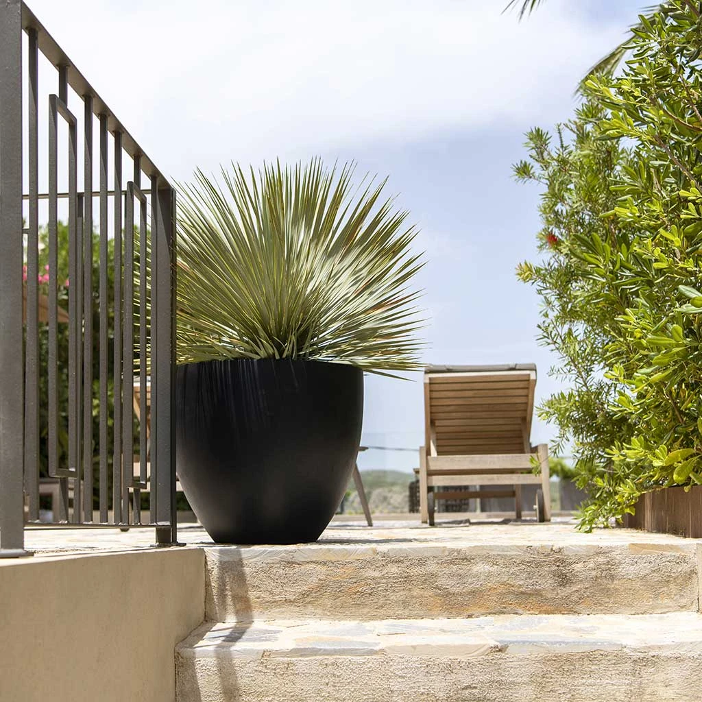 Jesslyn Natural Planter - Black 4 Jesslyn Natural Planter - Black - Image 4