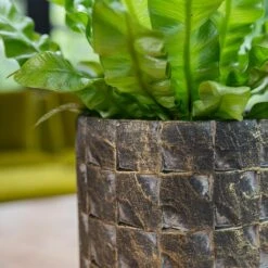 Jim Plant Pot - Earth 14 Jim Plant Pot - Earth -HORTOLOGY Plants Sale Jim Earth 5