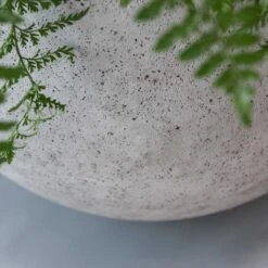 Jumbo Orb Planter - Stone Washed -HORTOLOGY Plants Sale Jumbo Orb Planter Stone Washed Close Up Indoor