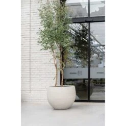 Jumbo Orb Planter - Stone Washed -HORTOLOGY Plants Sale Jumbo Orb Planter Stone Washed Garden Tree