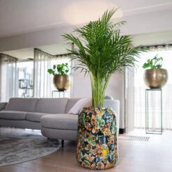 Lammie Planter - Berry Blue -HORTOLOGY Plants Sale Lammie Planter Berry Blue 5