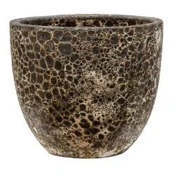 Lava Couple Relic Planter - Black -HORTOLOGY Plants Sale Lava Couple Relic Planter Black Small