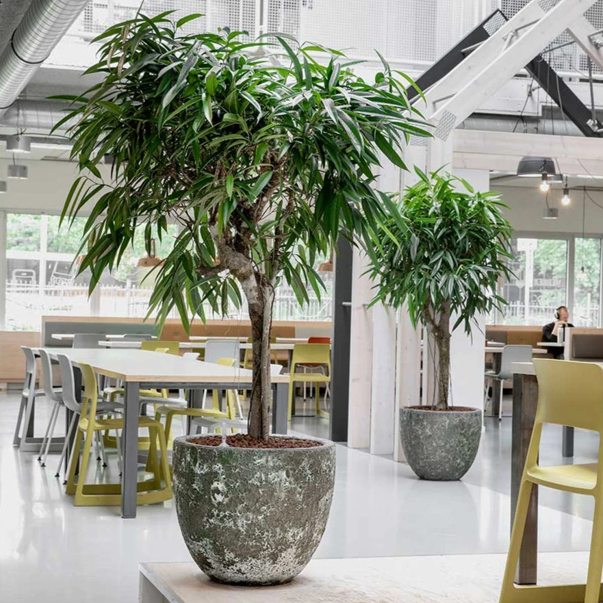 Lava Couple Relic Planter - Jade 2 Lava Couple Relic Planter - Jade - Image 2