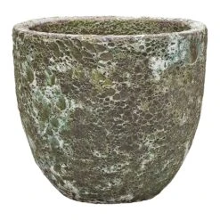 Lava Couple Relic Planter - Jade 22 Lava Couple Relic Planter - Jade -HORTOLOGY Plants Sale Lava Couple Relic Planter Jade Small
