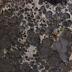 Lava Couple Relic Planter - Black -HORTOLOGY Plants Sale Lava Couple Straight Relic Planter Black 2 ef70eca9 fc8d 4d14 8474 56094f355677