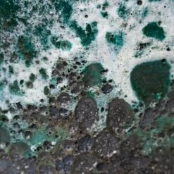 Lava Bowl Relic Planter - Jade 10 Lava Bowl Relic Planter - Jade -HORTOLOGY Plants Sale Lava Couple Straight Relic Planter Jade 19x13cm Colour Swatch 1 0628695e 6e84 44be b7a7 b0f9f8968d8d