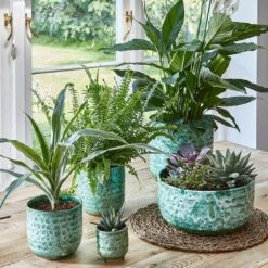 Ocean Glaze Plant Pot - Emerald 17 Ocean Glaze Plant Pot - Emerald -HORTOLOGY Plants Sale Lifestyle Ocean Glaze Plant Pot Emerald 13x13cm
