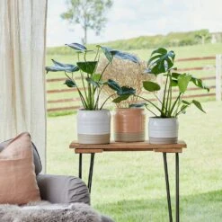 Puro Ripple Plant Pot - White -HORTOLOGY Plants Sale Lifestyle Puro Ripple Plant Pot 21x19cm 78129612 f541 46ee b1c8 f828cfeb6eb8