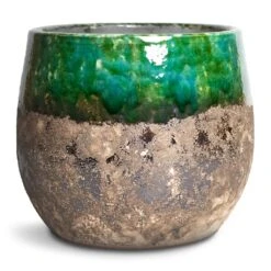 Lindy Plant Pot - Black Green 34 Lindy Plant Pot - Black Green -HORTOLOGY Plants Sale Lindy Plant Pot Black Green 23x20cm