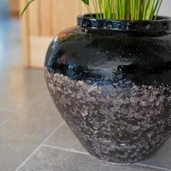 Lindy Jar Plant Pot - Black -HORTOLOGY Plants Sale Lindy black 03