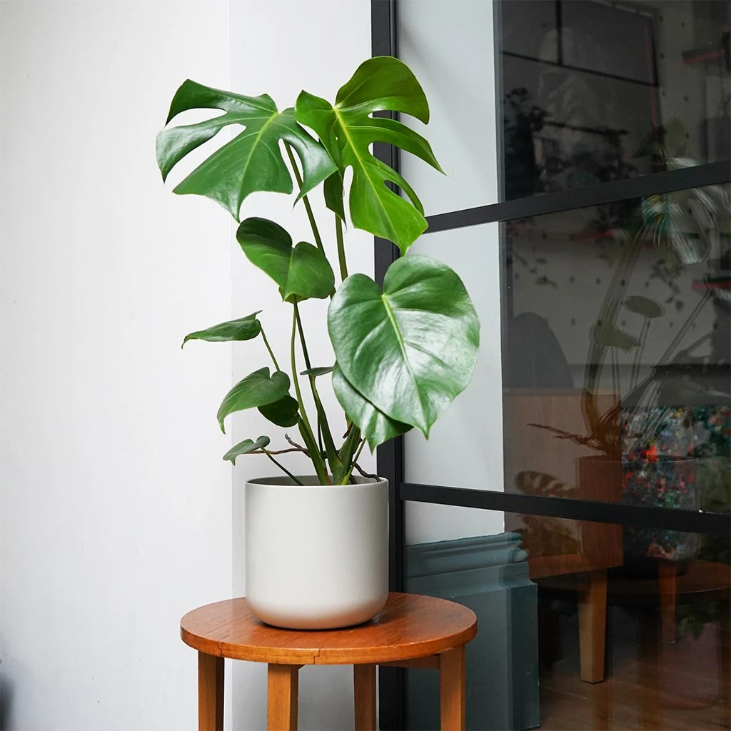 Lisbon Plant Pot - Light Grey 2 Lisbon Plant Pot - Light Grey - Image 2