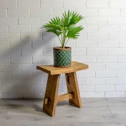 Livistona Rotundifolia - Footstool Palm -HORTOLOGY Plants Sale Livistona rotundifolia Footstool Palm liam turquoise plant pot natural