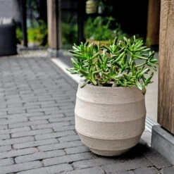 Bordo Balloon Planter - Sand 17 Bordo Balloon Planter - Sand -HORTOLOGY Plants Sale Luca Lifestyle Bordo Balloon Sand 1