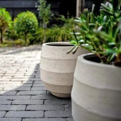 Bordo Balloon Planter - Sand 19 Bordo Balloon Planter - Sand -HORTOLOGY Plants Sale Luca Lifestyle Bordo Balloon Sand 2