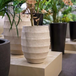 Bordo Tall Balloon Planter - Sand -HORTOLOGY Plants Sale Luca Lifestyle Bordo Tall Balloon Sand 4