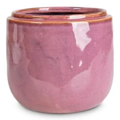 Mabel Cherry Ceramic Plant Pot β Muted Mauve & Honey Glaze Indoor Decorative Planter 10 Mabel Cherry Ceramic Plant Pot β Muted Mauve & Honey Glaze Indoor Decorative Planter -HORTOLOGY Plants Sale Mabel Pot Cherry 15x13cm