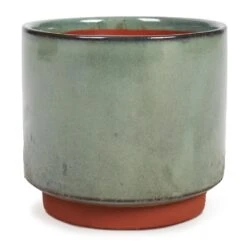Malibu Plant Pot - Green -HORTOLOGY Plants Sale Malibu Plant Pot Green 12x11cm